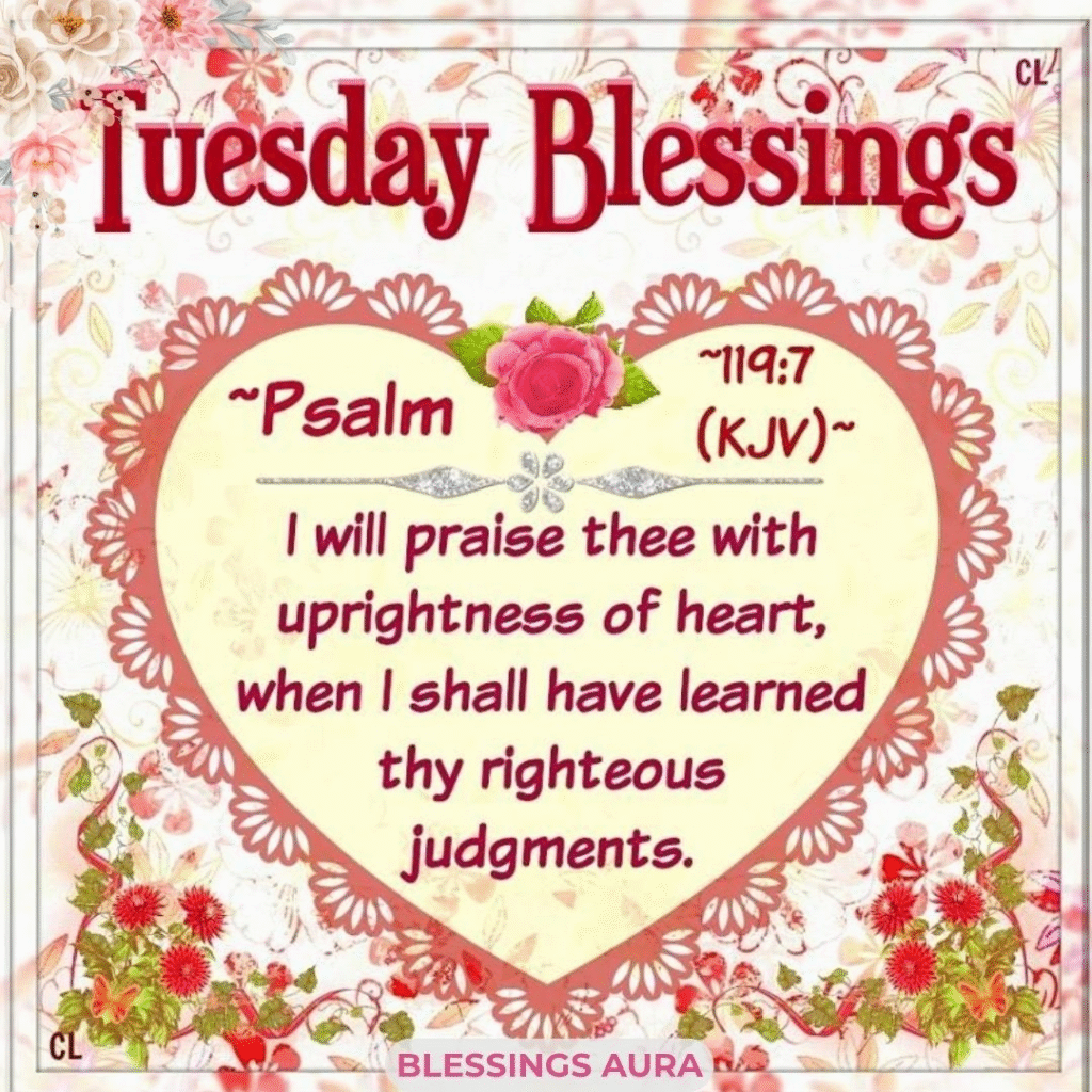 Beautiful Good Morning Tuesday Blessings